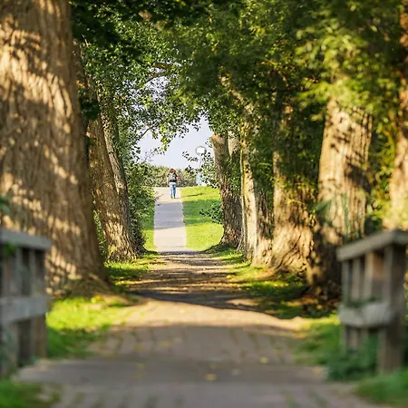 Meersinn In Wustrow-komfort Und Wellness In Strandnaehe Appartement